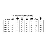 ساعت مچی عقربه ای زنانه اسکمی مدل 2006 RGBK