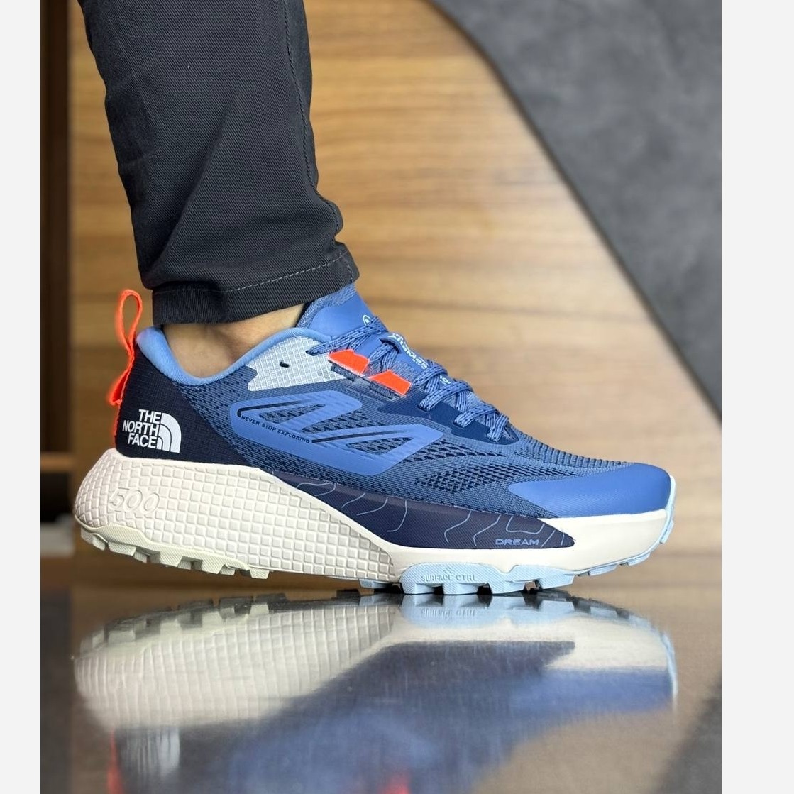 کتونی نورث فیس مردانه مدل north face altamesa